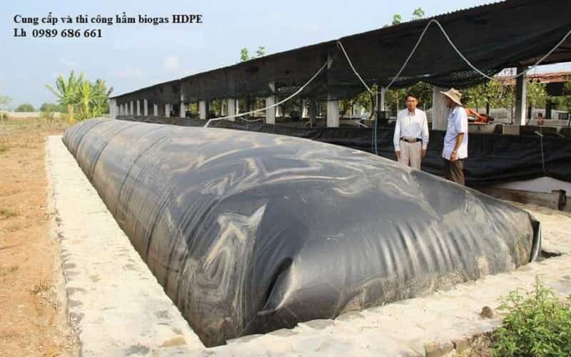 Cách chọn bạt lót thi công hdpe biogas