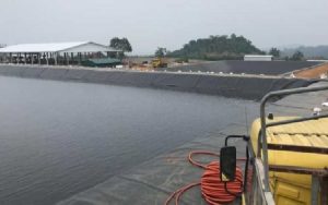 Giá màng chống thấm HDPE Bạt HDPE mới nhất