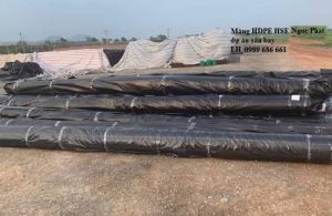 Màng chống thấm HDPE HSE Ngọc Phát sân bay
