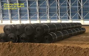 Màng nhựa HDPE Ngọc Phát
